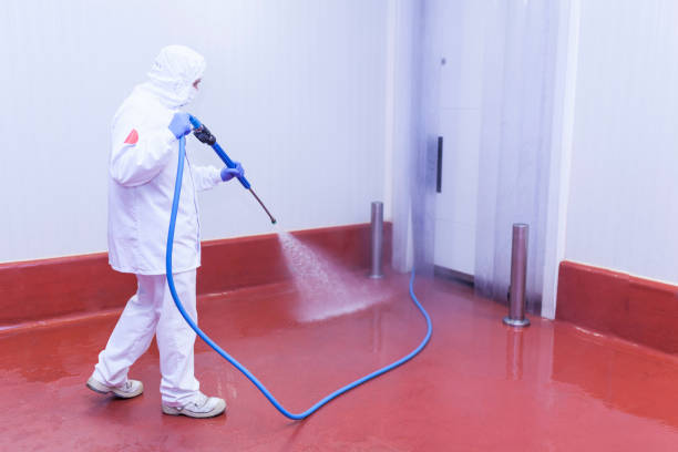 Best Building Exterior Pressure Washing in Evansdale, IA