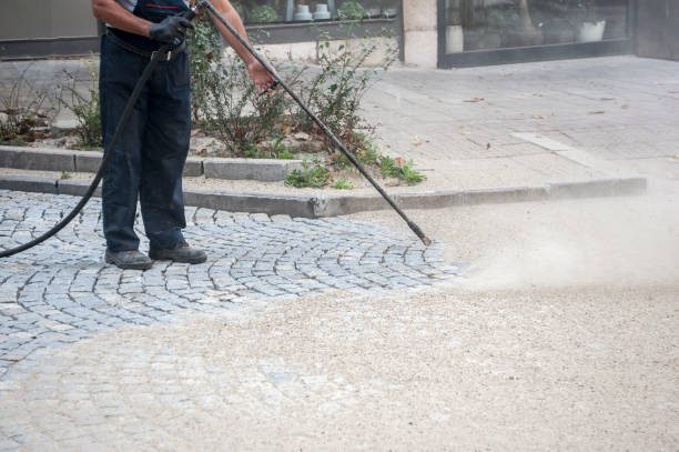Best Driveway Cleaning and Restoration in Evansdale, IA